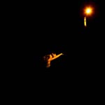 mariage auberge des adrets MR1